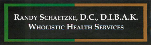 Wholistic Health Services Logo