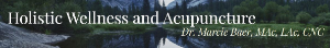 Holistic Wellness and Acupuncture Logo