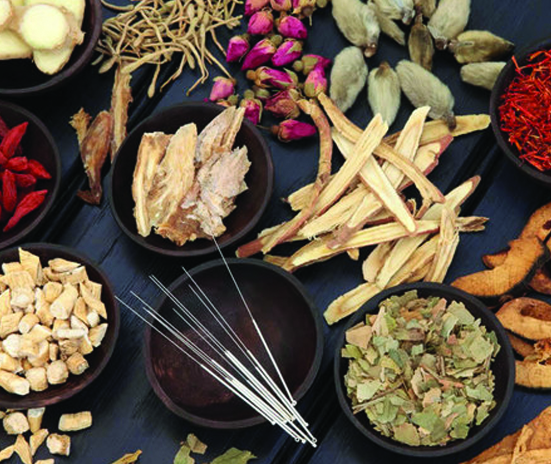 Photo of herbs and acupuncture needles Photo of herbs and acupuncture needles