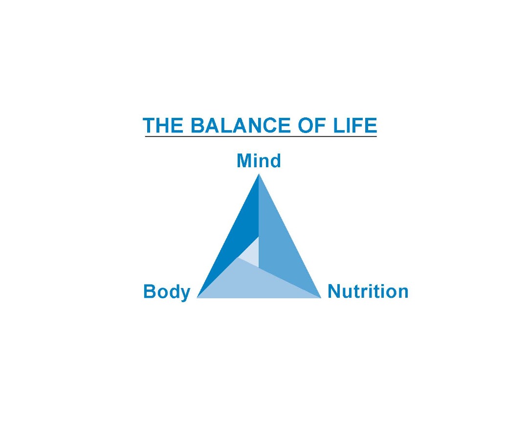 Barry's Balance of Life Triangle