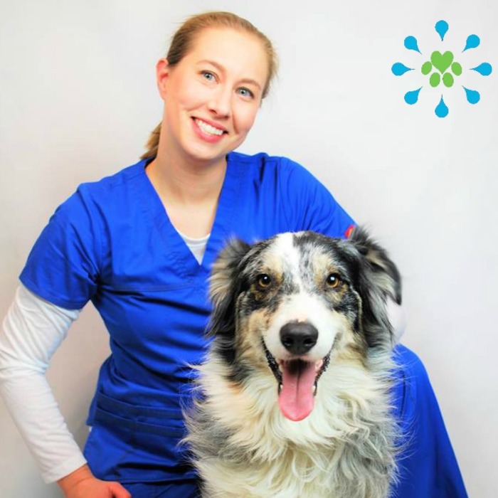 Dr. Candy Akers Buy Standard Process Nutritional Supplements Premier Practitioner Holistic Health Dr. Candy Akers Buy Standard Process Nutritional Supplements Premier Practitioner Holistic Health