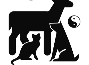 PetSynergy Logo