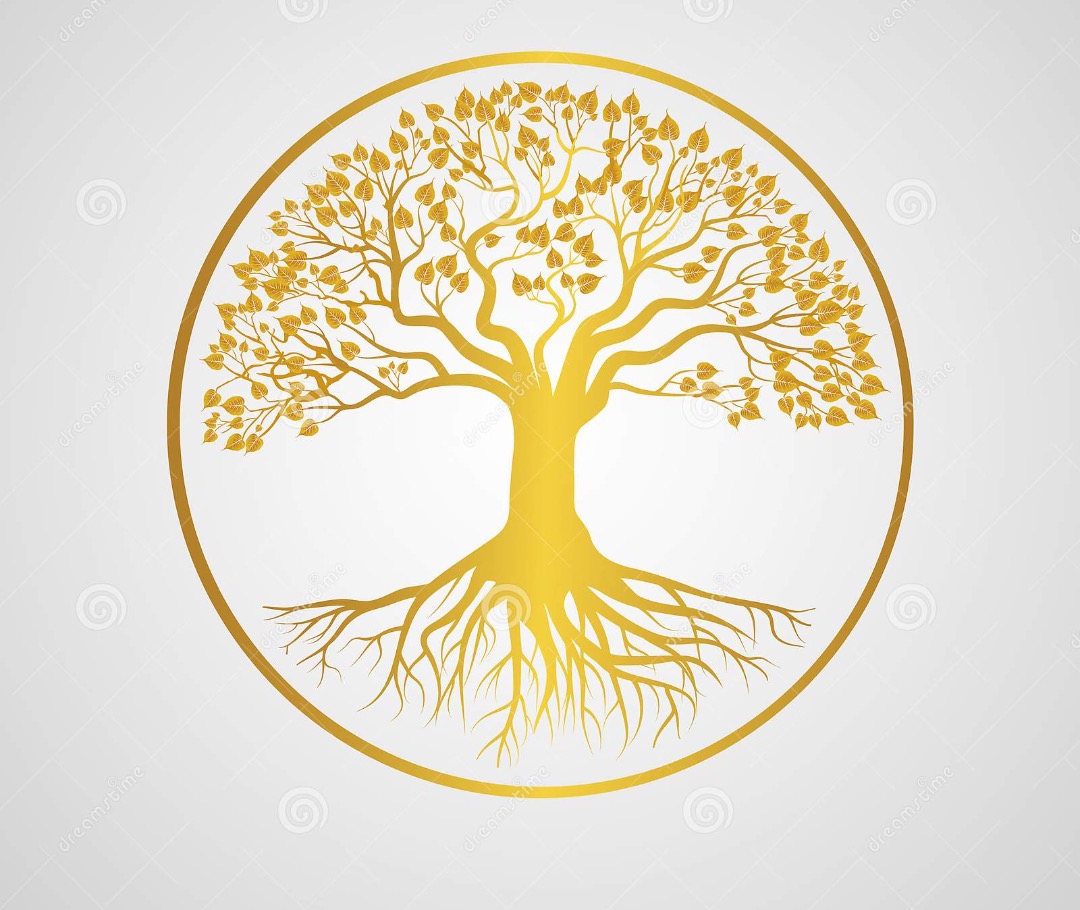 Holistic  Approach