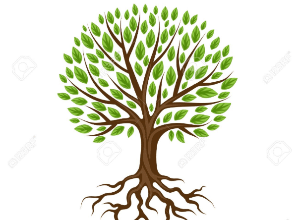 Root Resolution Health Logo