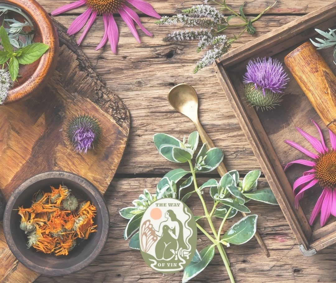 Herbs and food based nutrition for holistic health and longevity Herbs and food based nutrition for holistic health and longevity