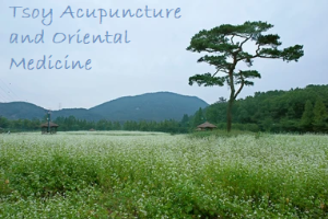 Tsoy Acupuncture and Oriental Medicine Logo