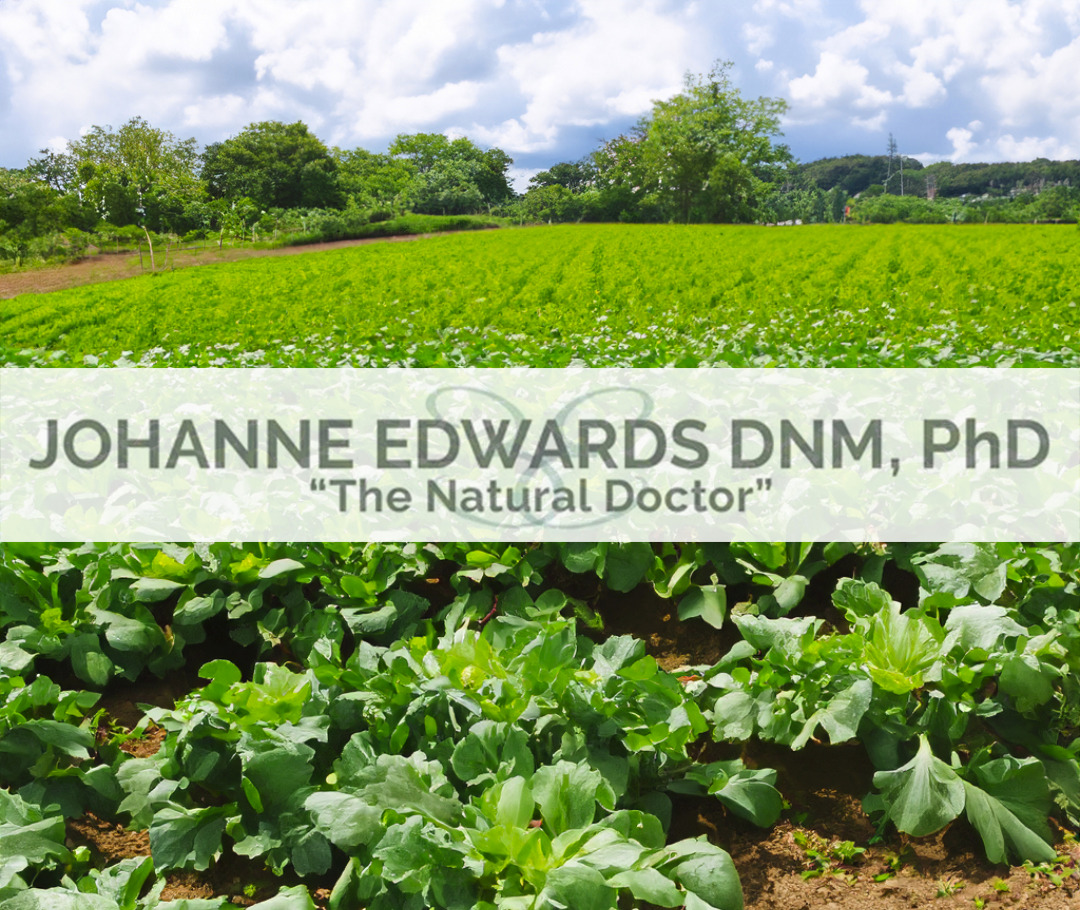 Dr. Johanne Edwards Logo in a Field of Vegetables 